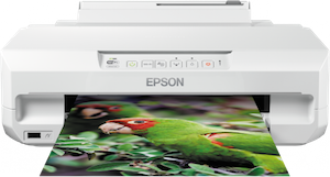 Cartuchos Epson Expression Photo XP-55